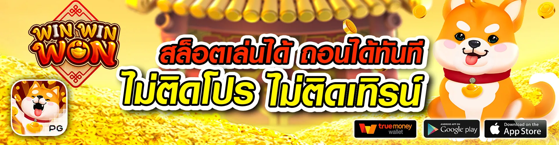 imi689 ทางเข้า